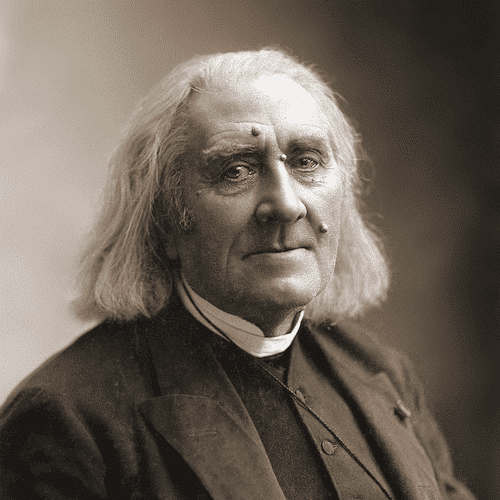 franz liszt pianiste connu