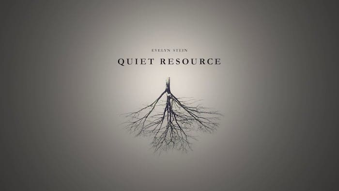 evelyn stein quiet resource piano musique douce