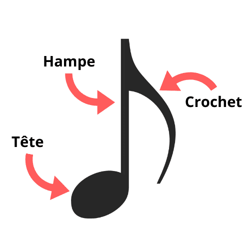 Notes de Musique : Acquérir les Bases du Solfège - La Touche Musicale