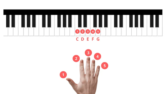 dejar márketing damnificados Los 8 mejores ejercicios de piano para principiantes - La Touche Musicale