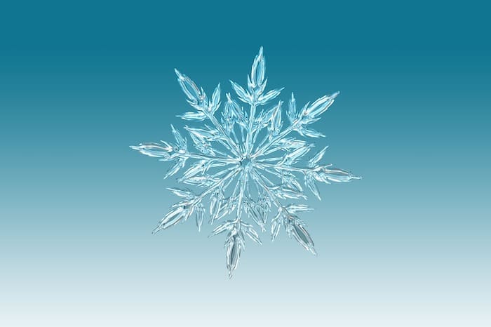 we wish you a merry christmas natale