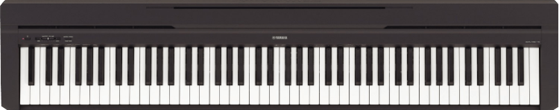 yamaha p45b 2