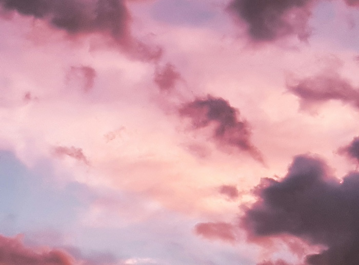 la vie en rose