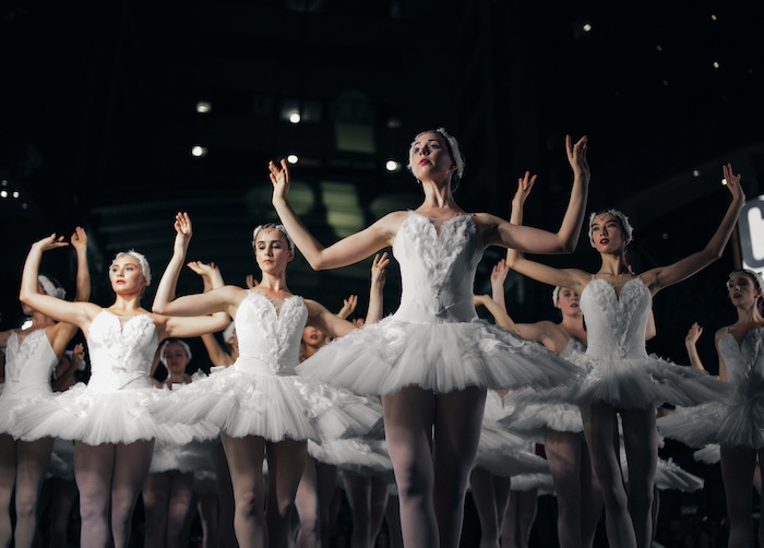 swan lake
