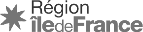 logo region idf