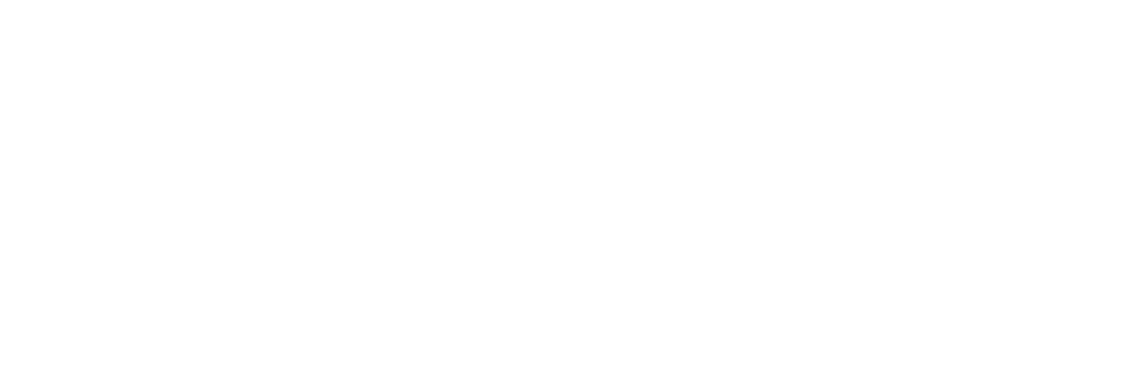 bandconvert logo white