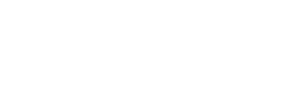 bassconvert logo white