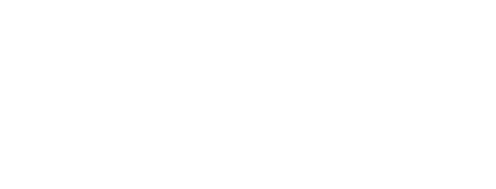 singconvert logo white