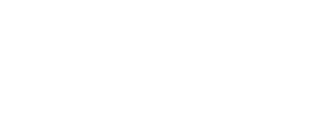violinconvert logo white